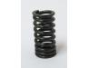 Image of Valve spring, Exhaust inner