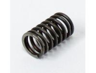 Image of Valve spring, Inner