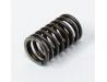 Valve spring, Inner