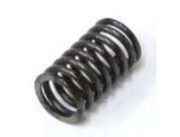 Image of Valve spring, Inner