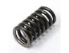 Valve spring, Inner