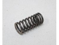 Image of Valve spring, Inner