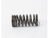 Valve spring, Inner