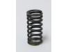 Image of Valve spring, Inner