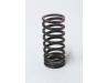 Image of Valve spring, Inner