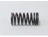 Valve spring, Inner