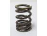 Image of Valve spring, Exhaust outer