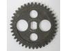 Oil pump drive gear
