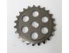 Image of Oil pump driven sprocket (1983/1984/1985)