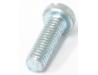 Image of Carburettor throttle stop screw