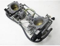 Image of Throttle body assembly