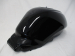 Image of Fuel tank in Pearl Nightstar Black