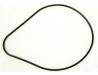 Water pump cover gasket