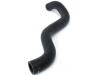 Image of Radiator hose, Lower