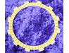 Clutch friction plate