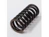 Clutch spring