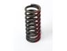 Image of Clutch spring