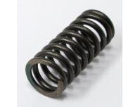 Image of Clutch spring