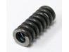 Primary drive gear spring