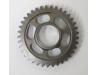 Gearbox counter shaft 3rd gear (37T)