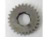 Image of Kick start pinion gear