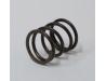 Image of Recoil starter friction plate spring