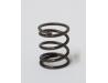 Image of Recoil starter friction plate spring