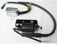 Image of Ignition coil and CDI set