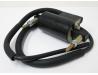 Image of Ignition coil complete with leads