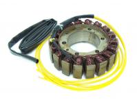 Image of Generator stator