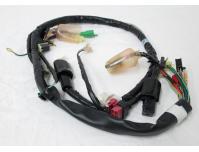 Image of Wiring harness (European models)