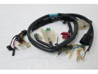 Image of Wiring harness (European models)
