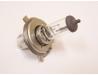Head light bulb
