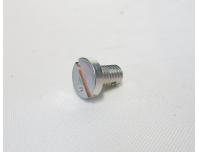 Image of Head light unit retaining screw