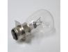 Head light bulb (European General export and Australian models)