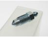 Image of Brake caliper bleed screw