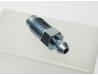 Brake caliper bleed screw