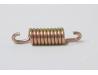 Brake shoe spring