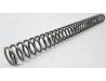 Fork spring