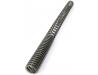 Fork spring