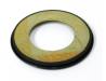 Steering head bearing top dust seal