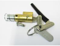 Image of Steering lock, UK and European models