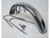 Image of Front fender / mudguard