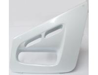 Image of Fairing inspection panel in White, Left hand