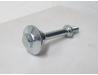 Cylinder head cover retaining bolt