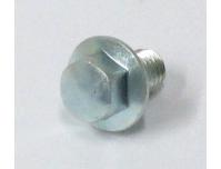 Image of Cam chain tensioner lifter adjuster bolt