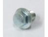Cam chain tensioner lifter adjuster bolt