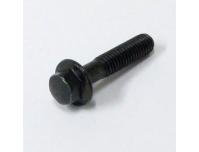 Image of Generator pulser cover bolt