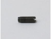 Image of Tappet adjuster screw