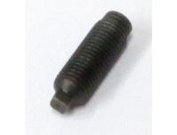 Image of Tappet adjuster screw